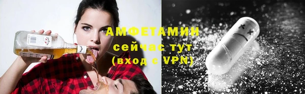 прущий лед Богданович