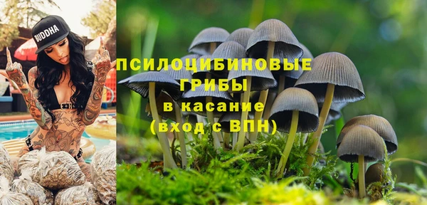 индика Рославль
