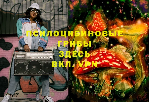 прущий лед Богданович