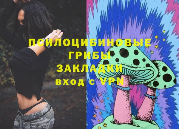 прущий лед Богданович